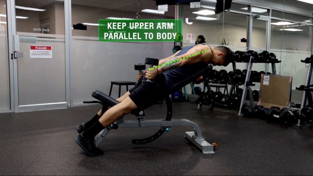 Keep upper arm parallel