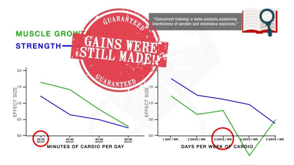 No harm incorporating cardio into your routine because you will still make gains