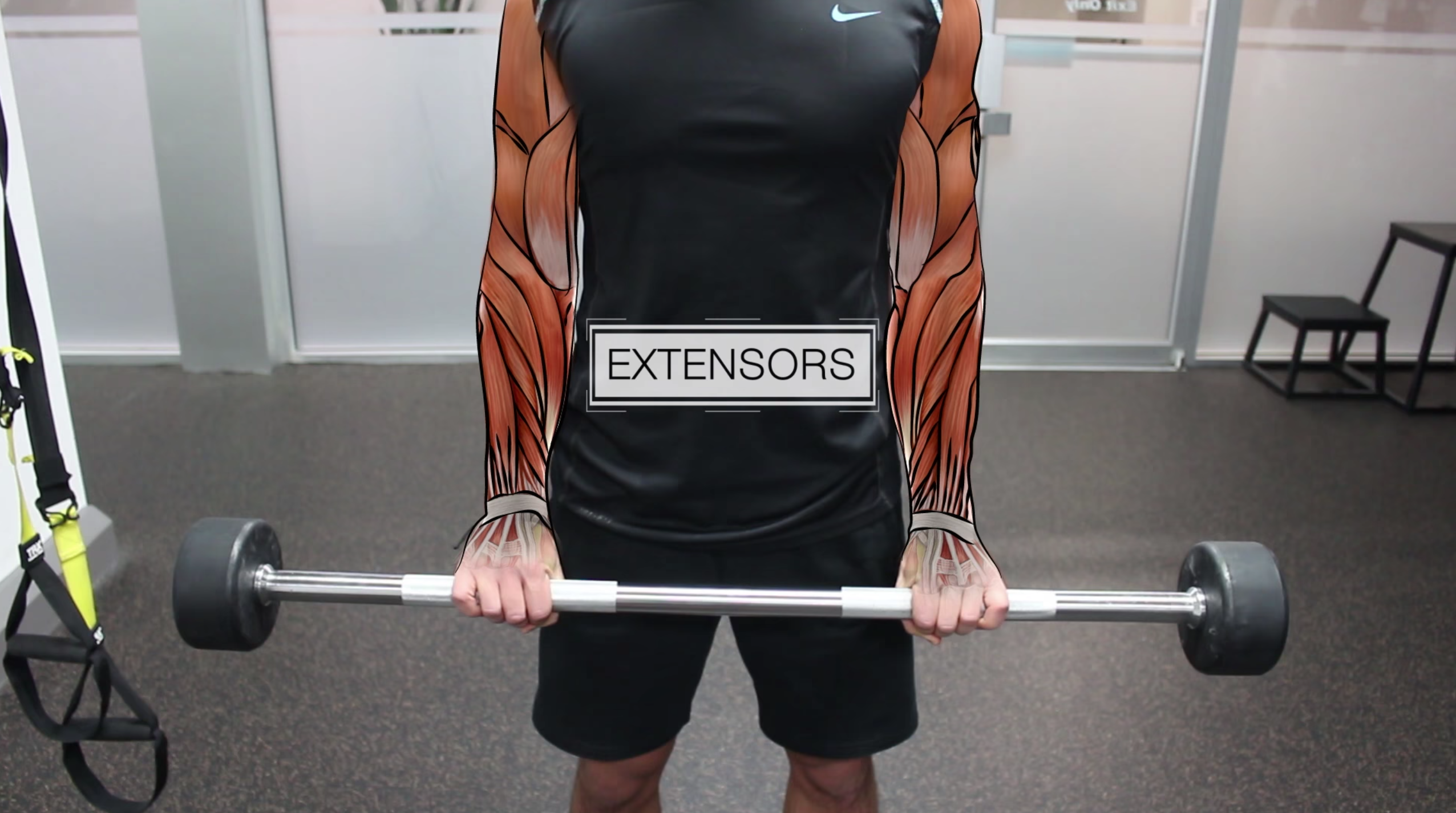 forearm extension
