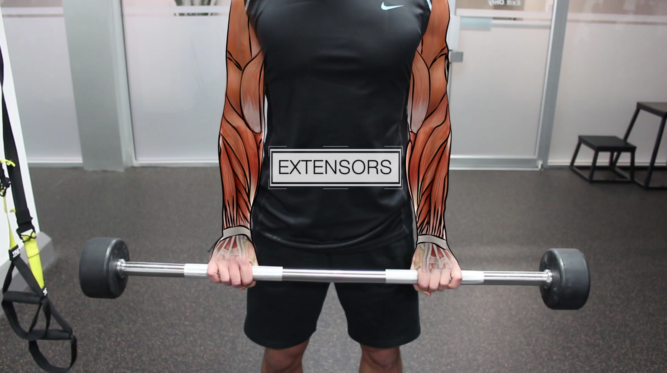 Dumbbell discount forearm extension