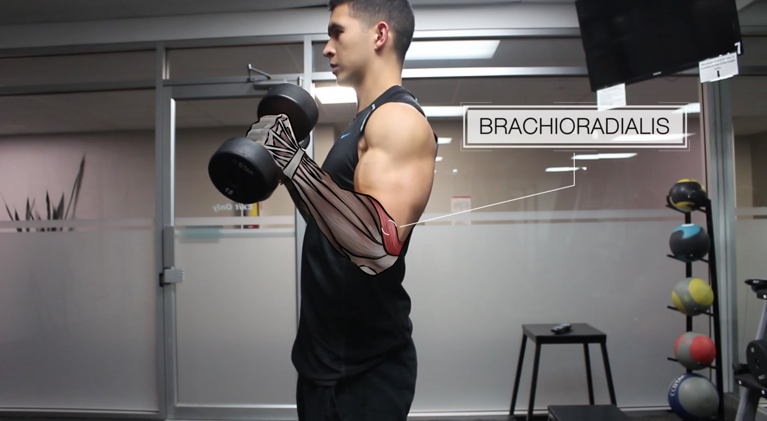 Brachioradialis strengthening online exercises