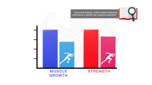 Graph showing the effect of cardio in combination with lifting on muscle hypertrophy