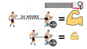 Graph showing how cardio timing affects muscle hypertrophy