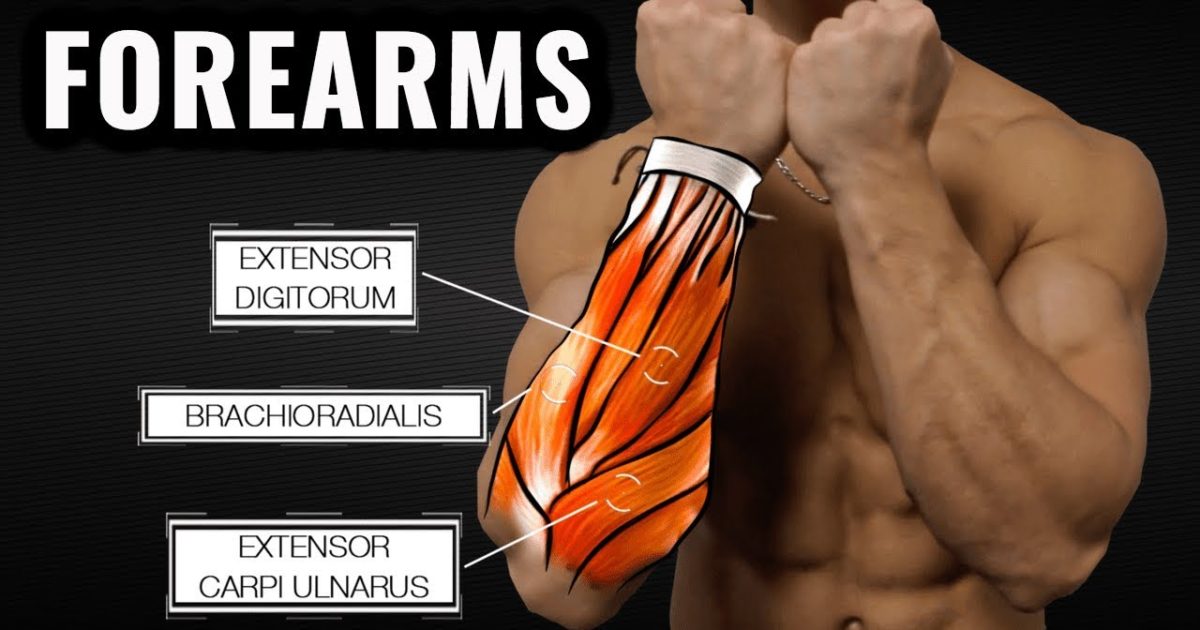 best forearm workout for mass