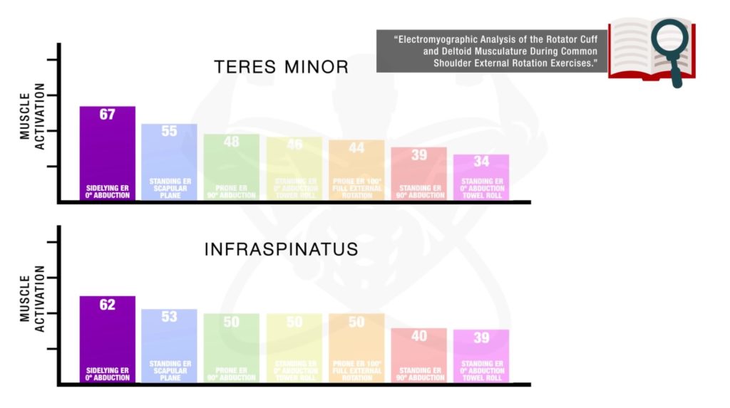 Activation of the rotator cuff muscles on the side lying external rotation