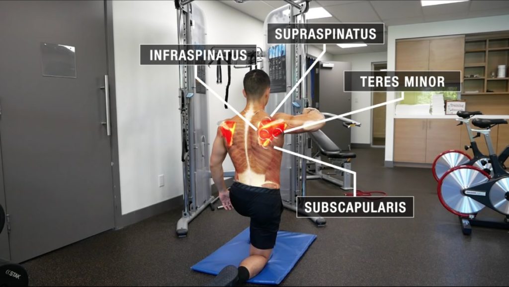 External rotation press