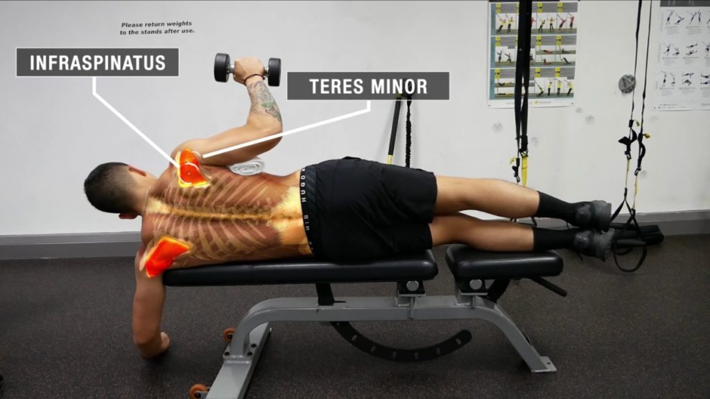 Teres muscles outlet exercises