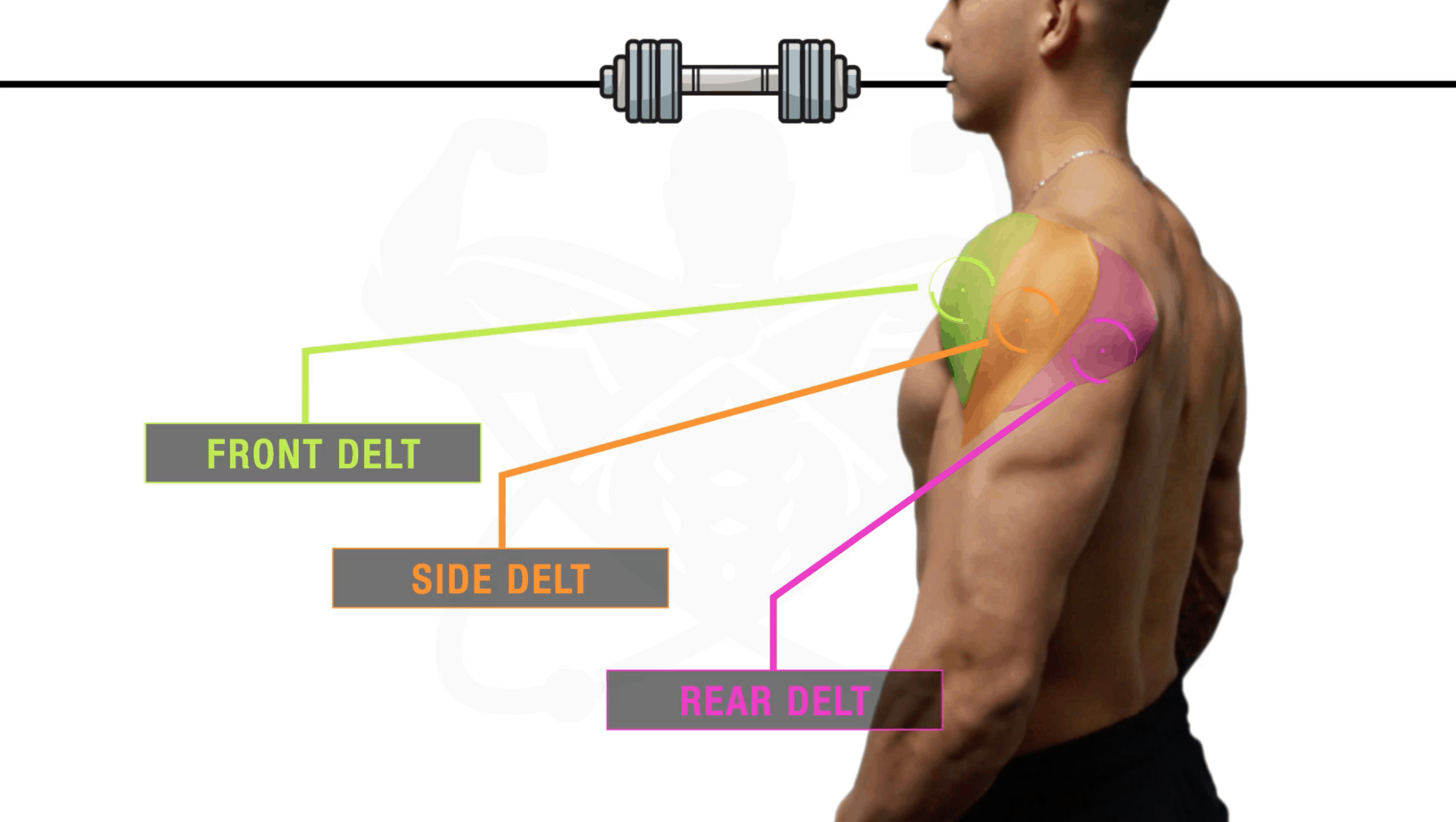 Grow and Define Your Shoulders  Dumbbell Only Workout 