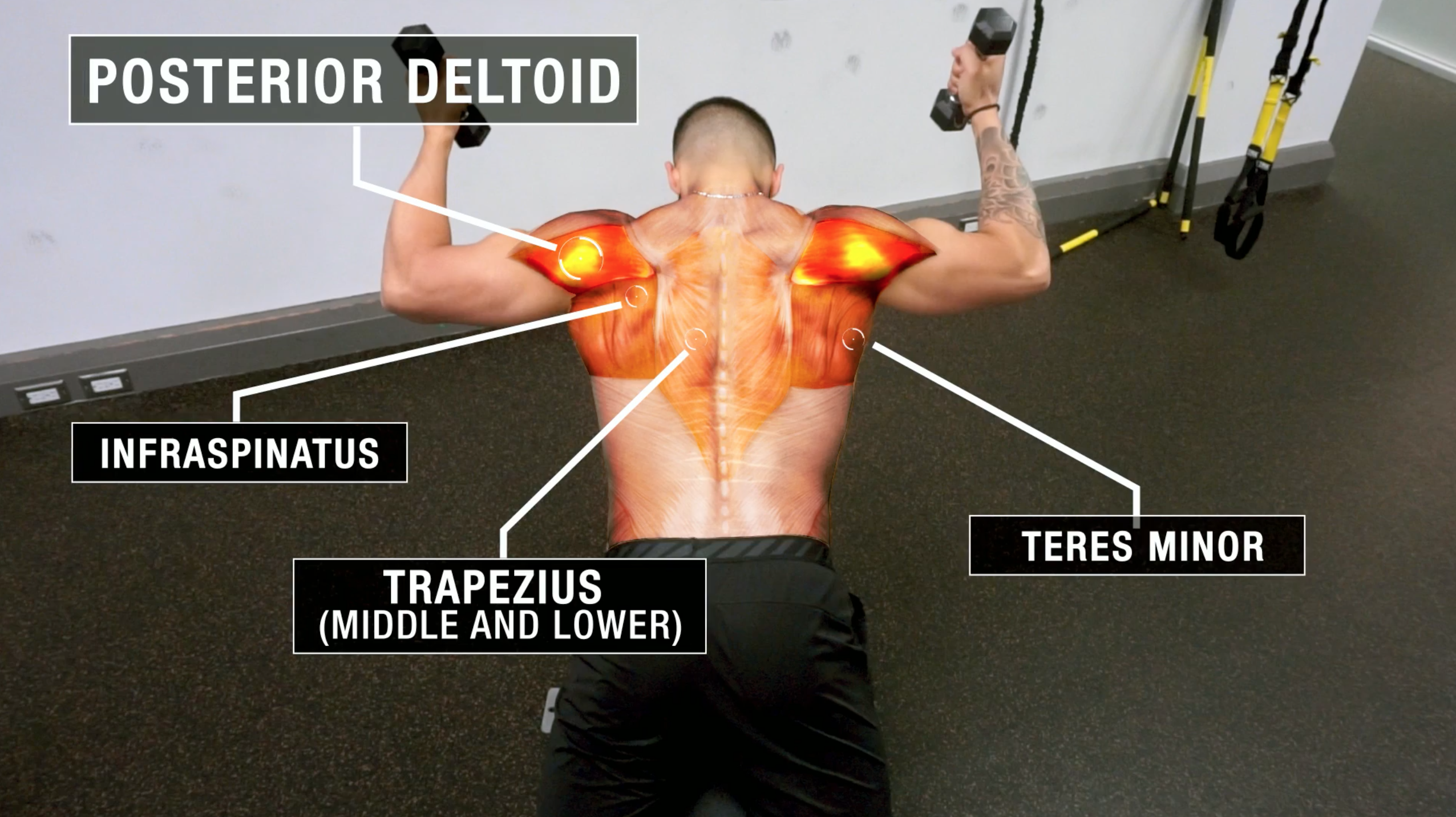 The Best Science Based Dumbbell Only Shoulder Workout For Growth