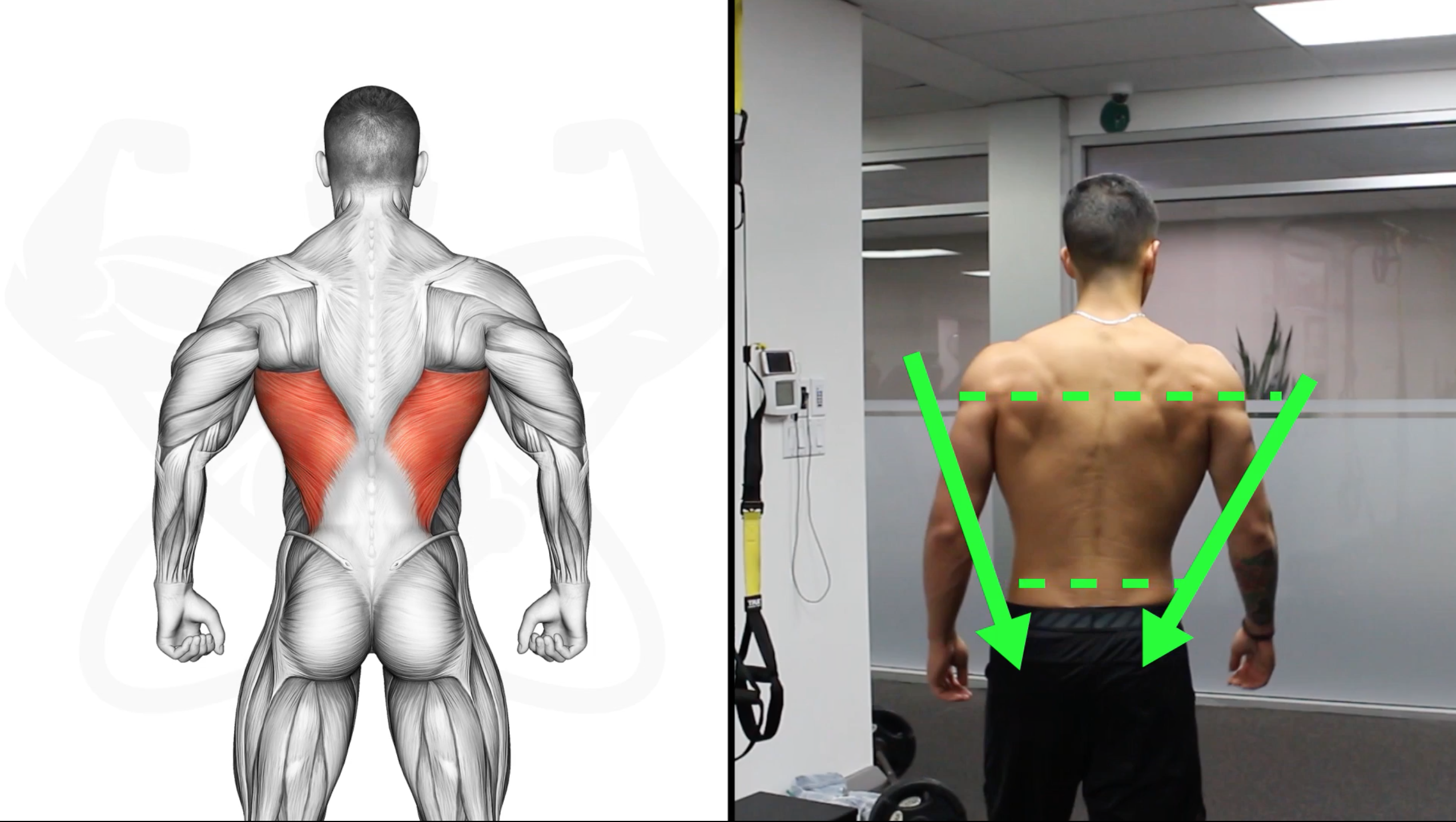The Best Exercises for Wide Back! 