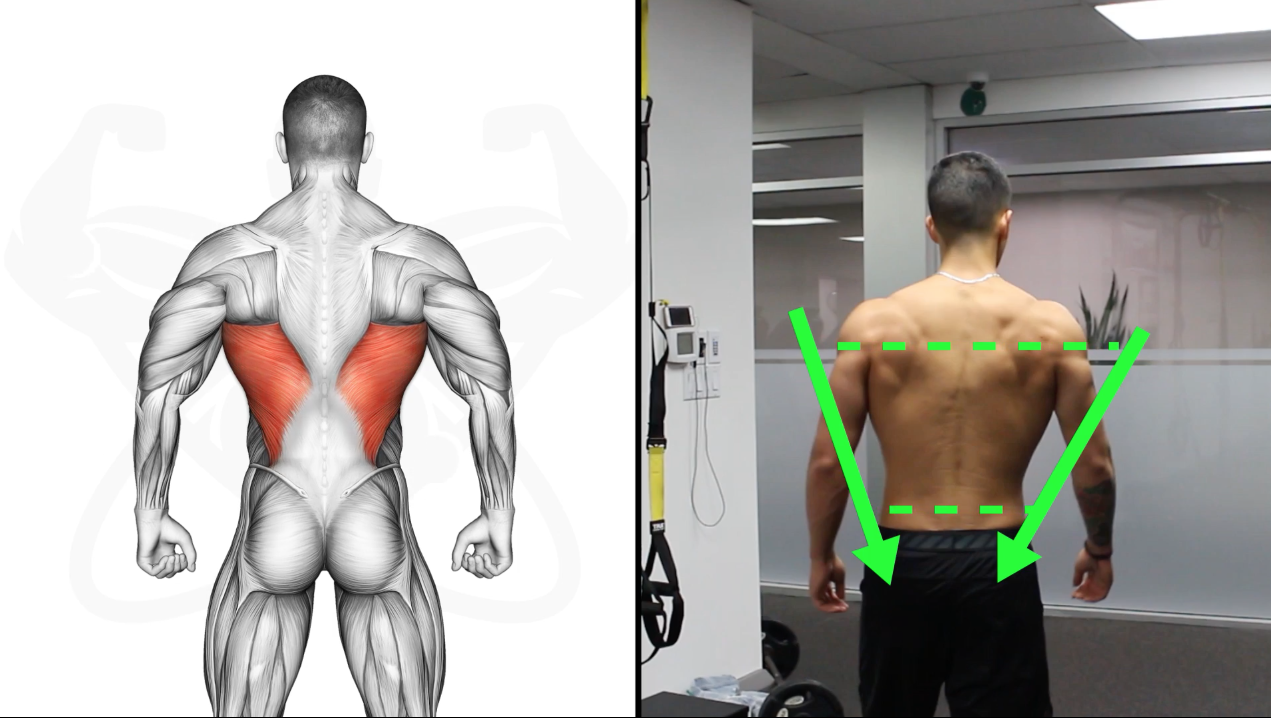 Back width online workout