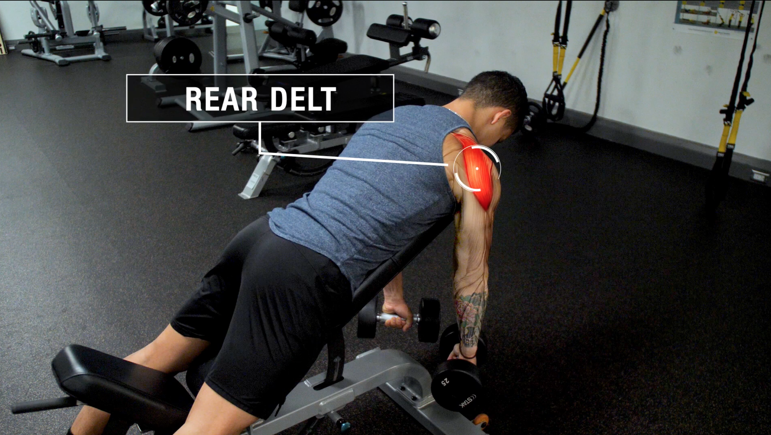 Rear shoulder dumbbell online workout