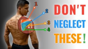 best rotator cuff exercises