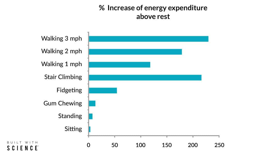 total daily energy expenditure