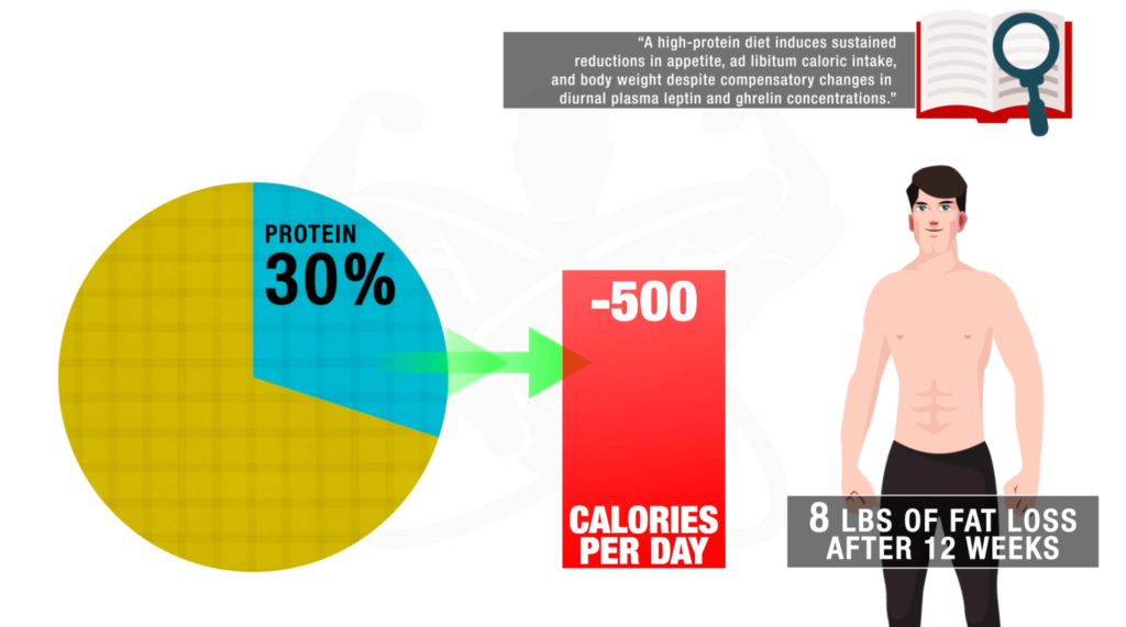 High protein diet benefits