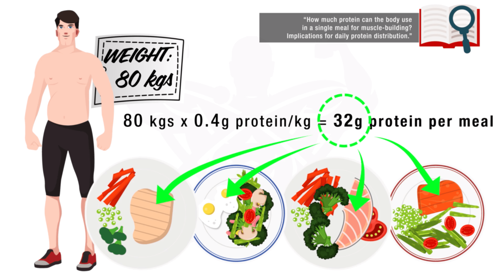 High protein diet benefits 2