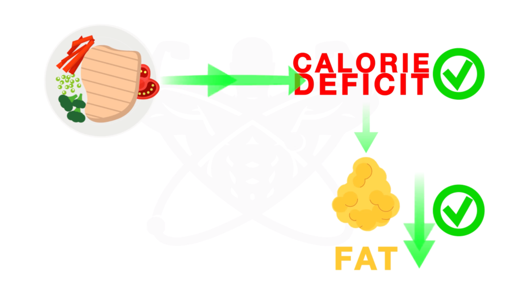 Calorie deficit in fat loss meal plan