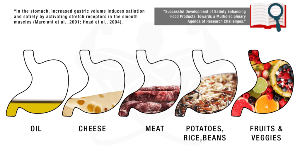 What To Eat When Dieting: The Best Weight Loss Meals (9 Studies)