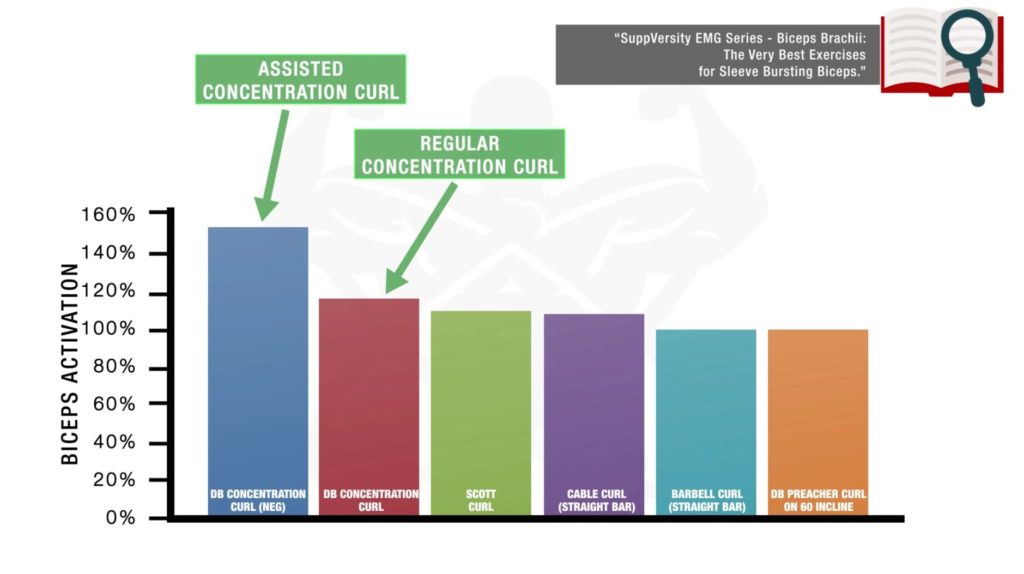 Best bicep activation exercises new arrivals