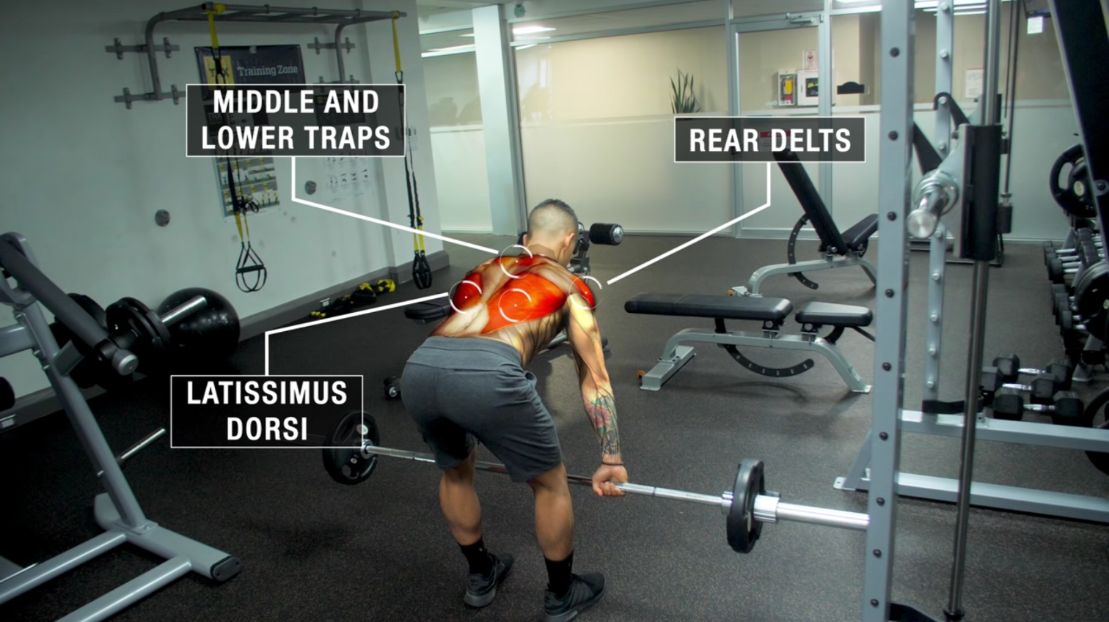 Bent over barbell row muscles