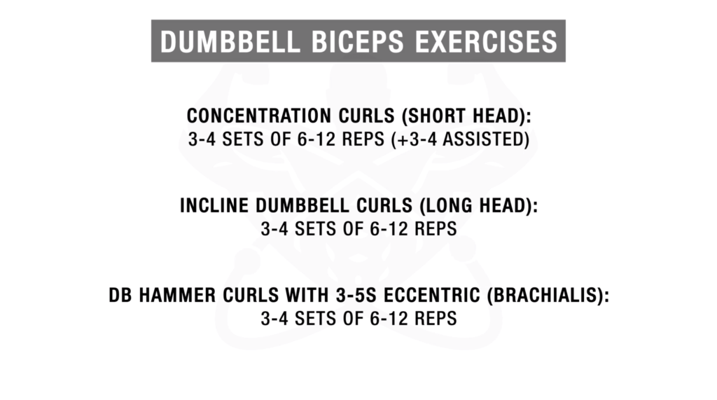 Gym Exercise Chart For Biceps
