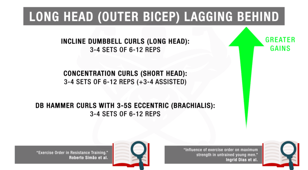 Biceps Exercise Chart