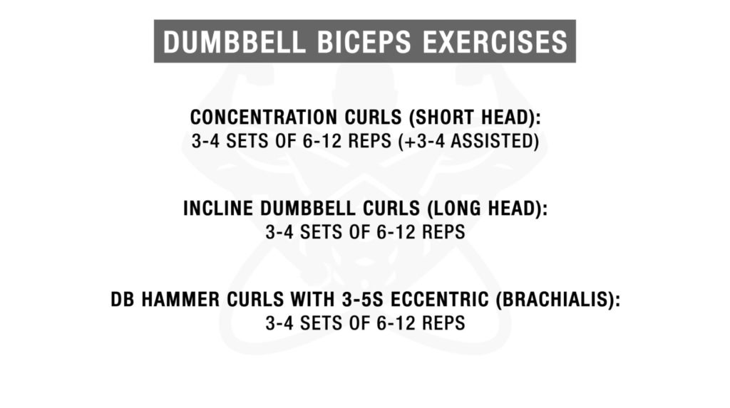 Bicep dumbbell workout online plan