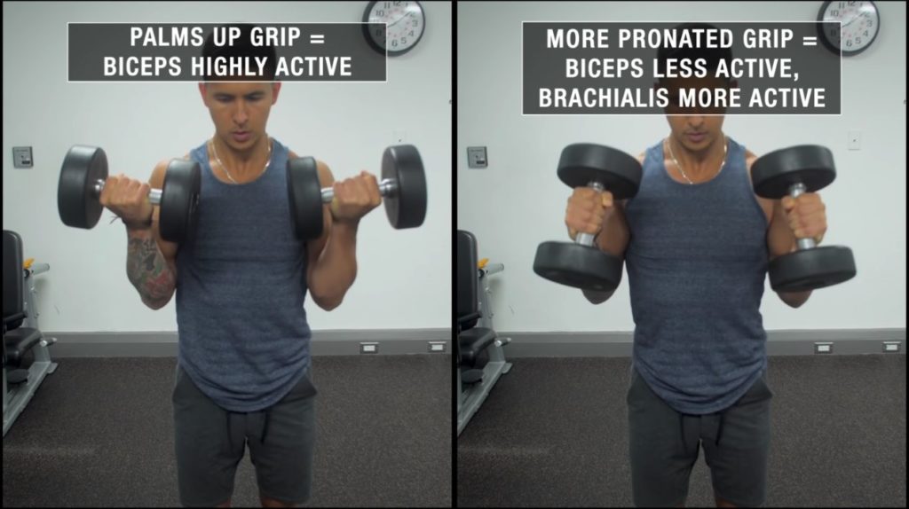 The Ultimate Dumbbell Bicep Workout You Need For Massive Arms