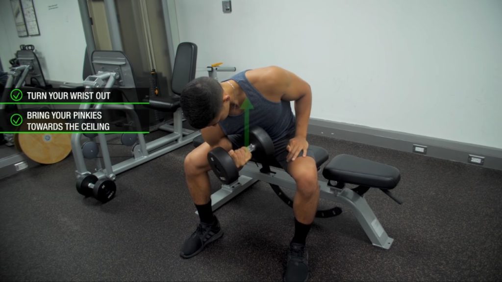 How to perform the concentration curls for maximum biceps activation