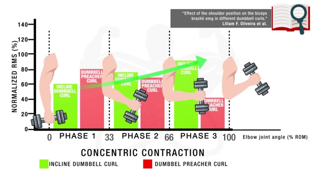 Incline dumbbell biceps curl bicep activation