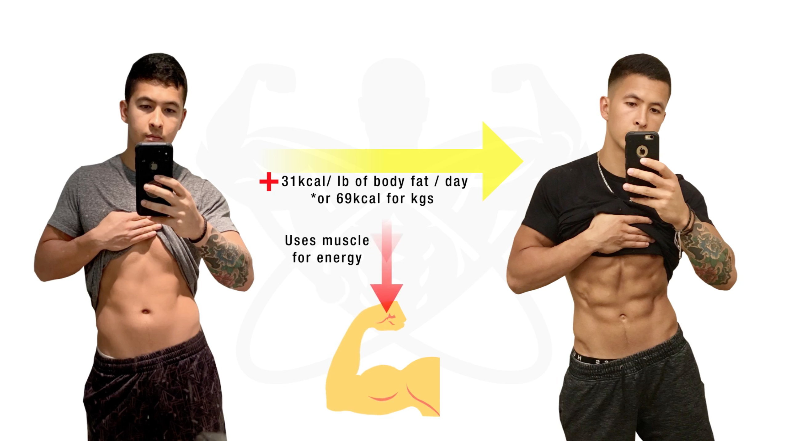 Realistic rates of fat loss and muscle gain: How fast can you see results?