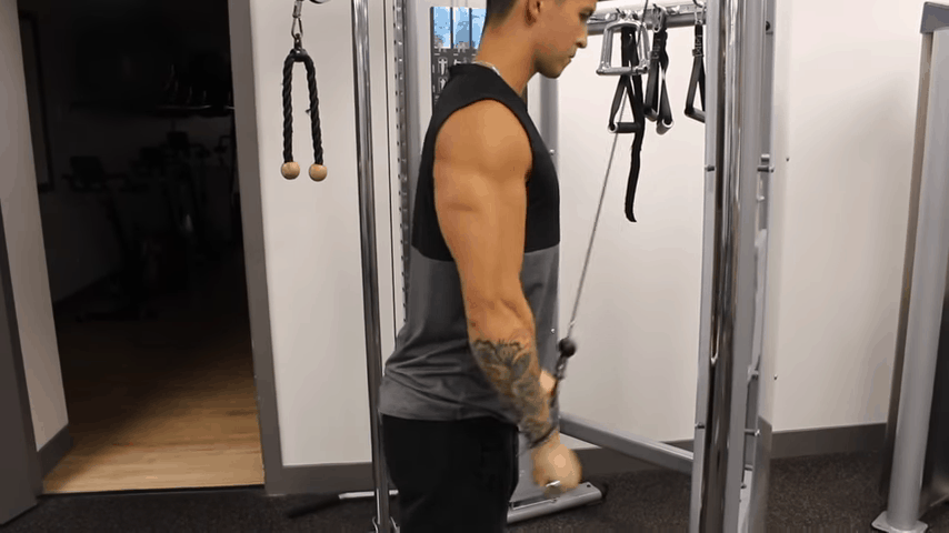 The Best Science Based Triceps Workout For Growth