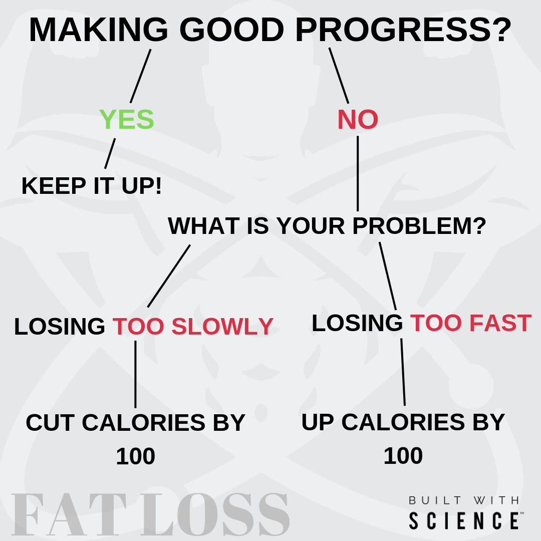 making-good-progress-fat-loss
