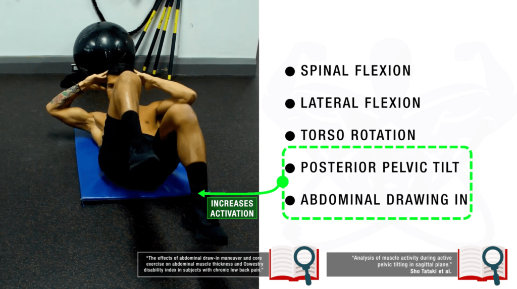 Functions of the oblique muscles