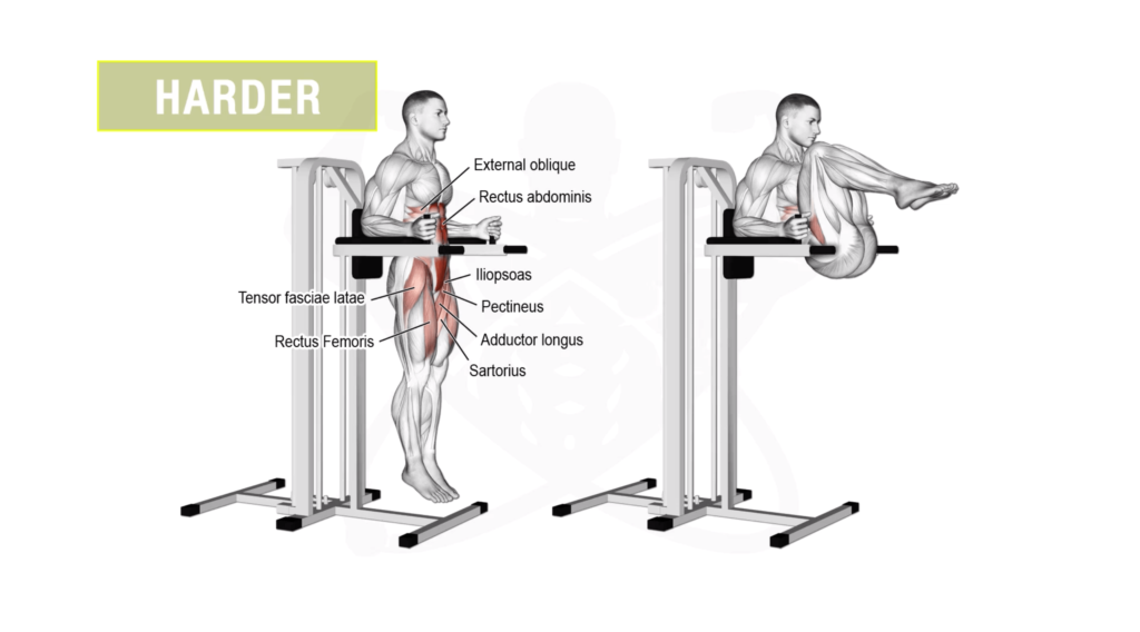 Oblique discount exercises gym