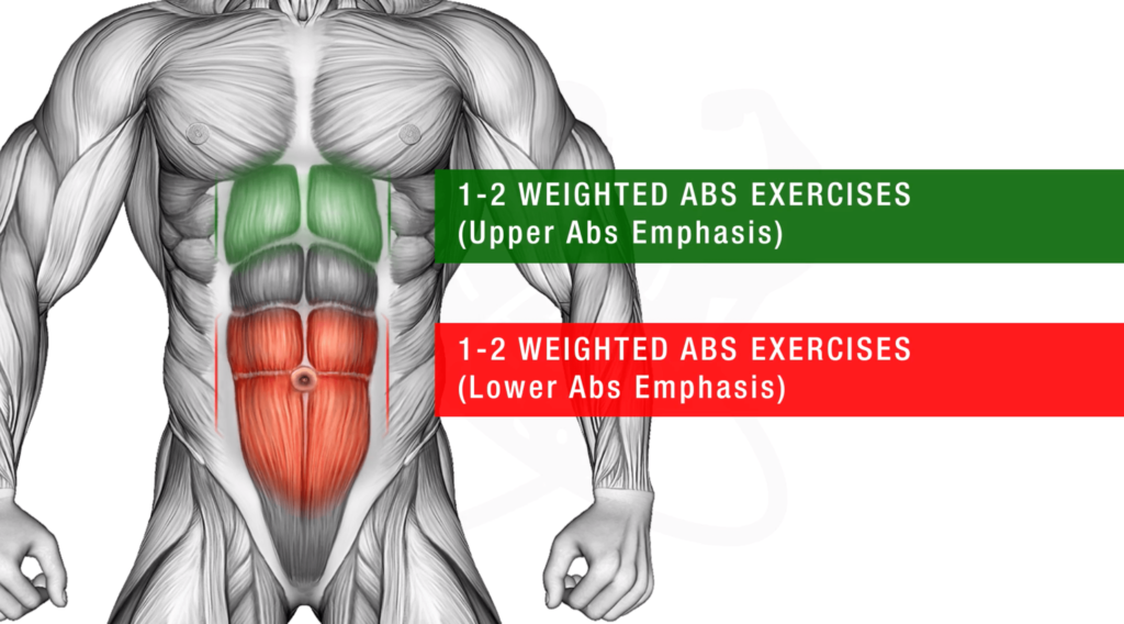 Upper discount ab muscles