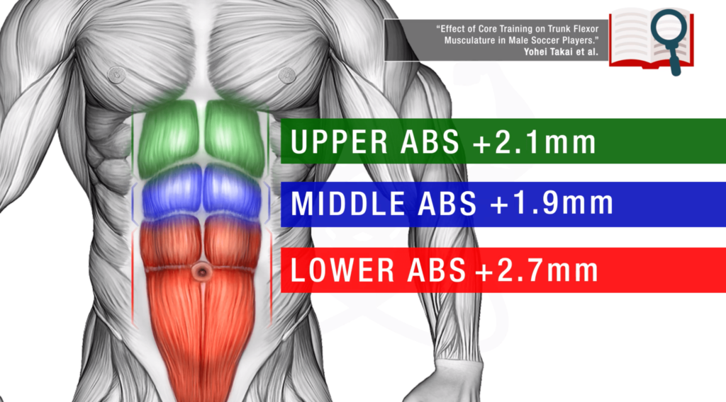 How To Grow Your Abs 3 Science Based Steps