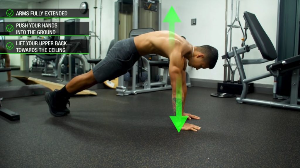 How to perform the push up plus