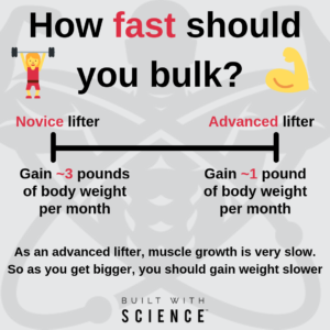 how-fast-should-you-bulk