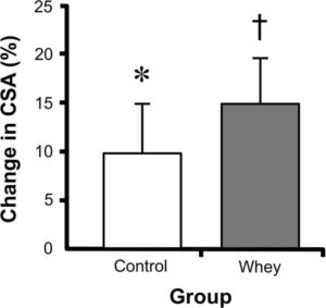 whey-protein-boosts-tendon-growth