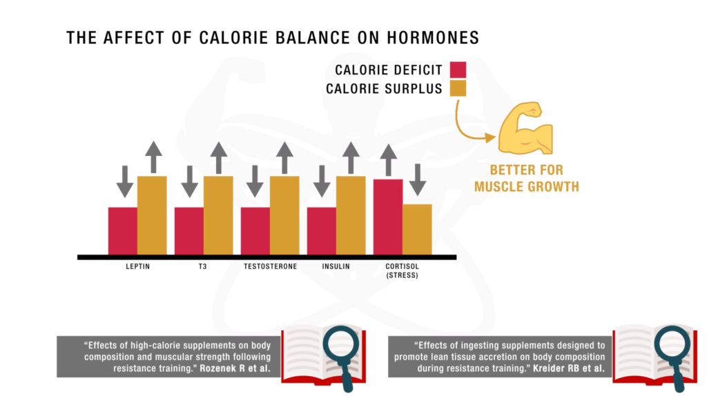 How to bulk up fast calorie surplus-min