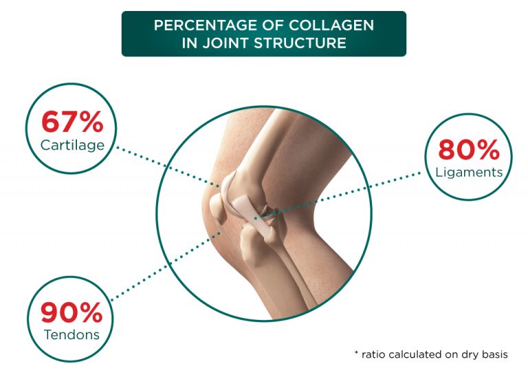 percent-of-collagen-in-joints