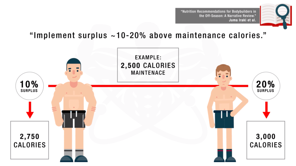 What is a Lean Bulk? Build Muscle without Gaining Fat (in Excess) –  Transparent Labs