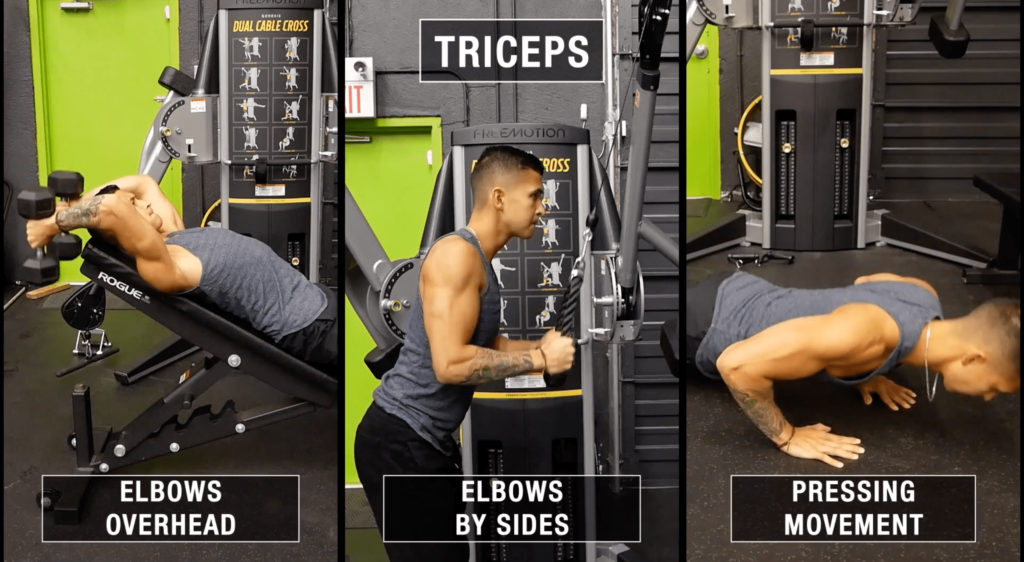 How to gain arm mass in triceps