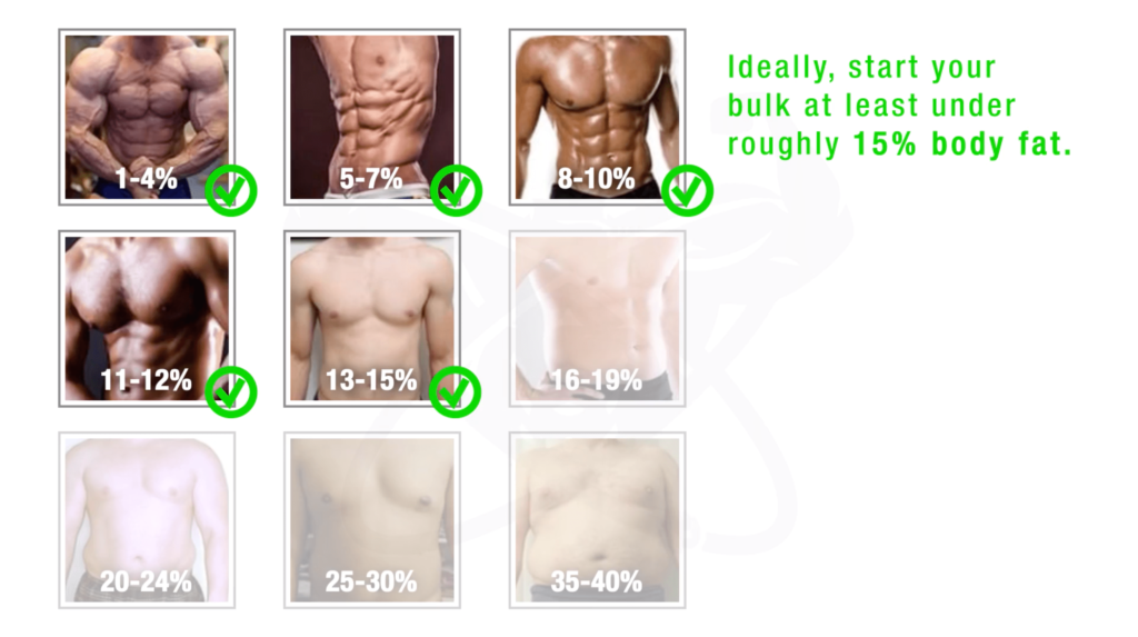 Does Bulking Actually Work?  4 Steps For A Lean Bulk 