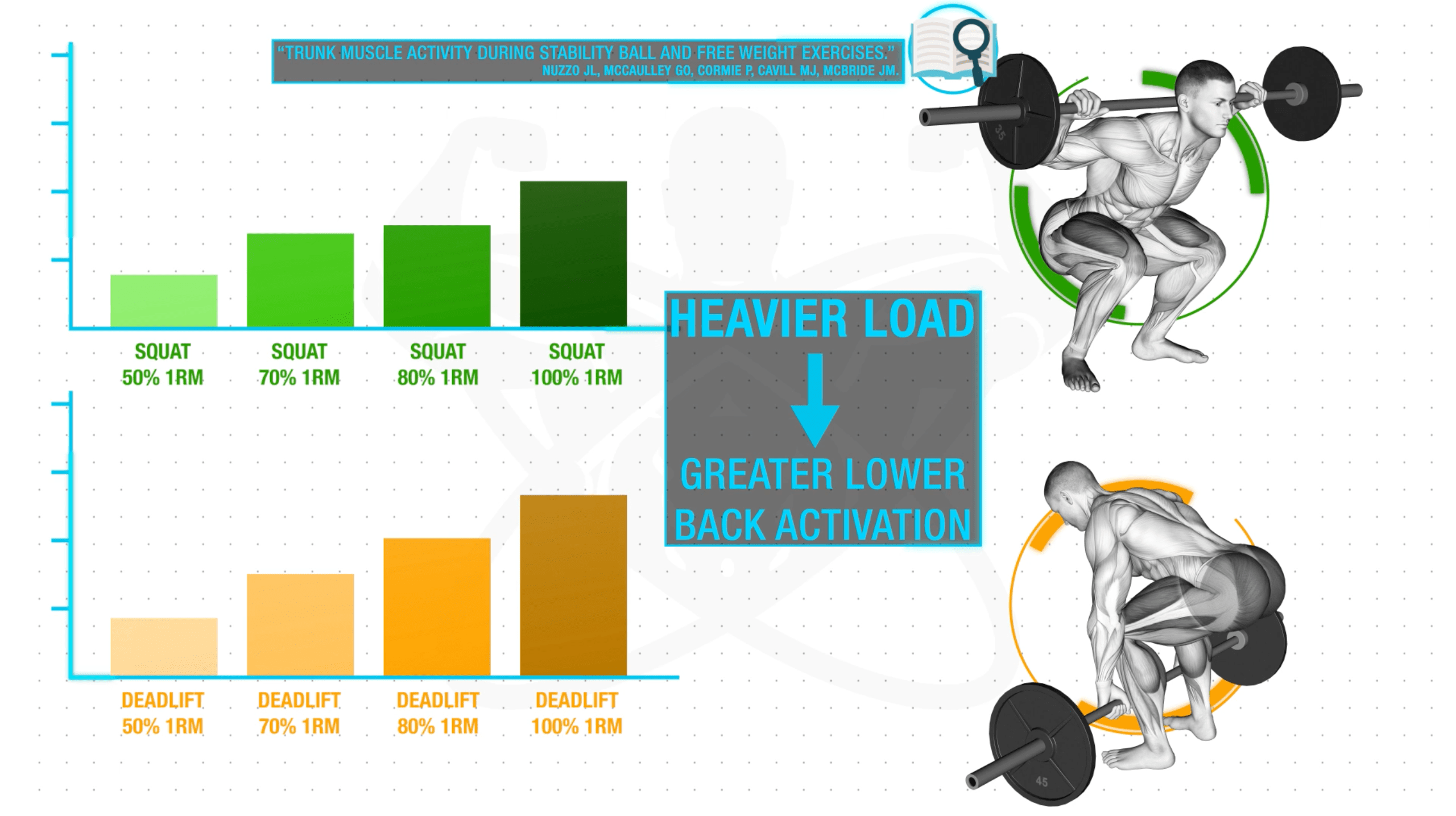 Heavier load equals greater lower back activation-min