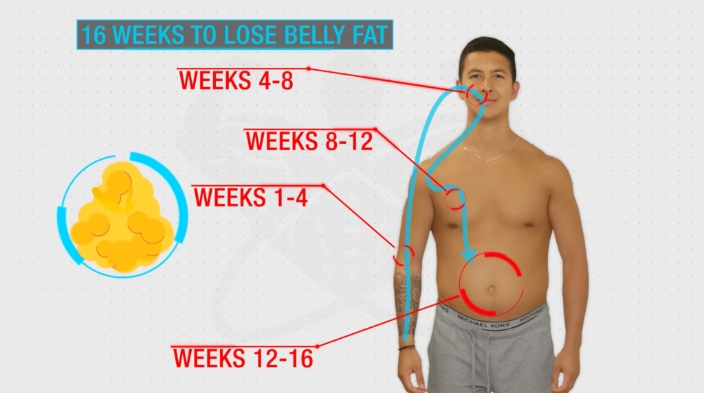 How to lose stubborn belly fat time frame-min