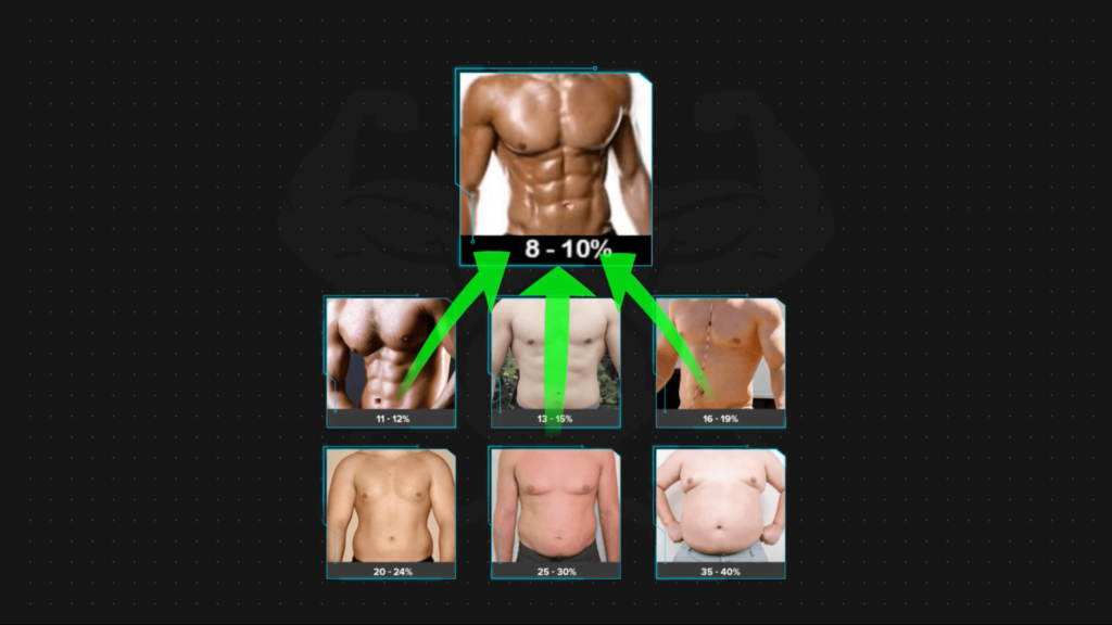 Ideal body fat percentage to strip off belly fat-min