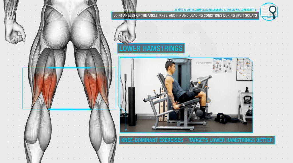 Lower hamstring activation-min