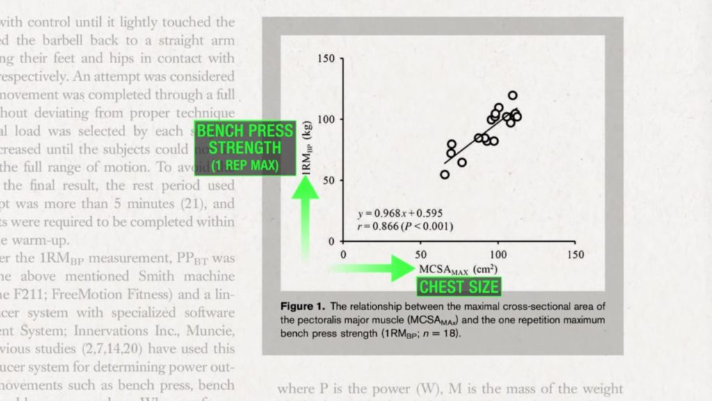 Relationship between bench press strength and chest size